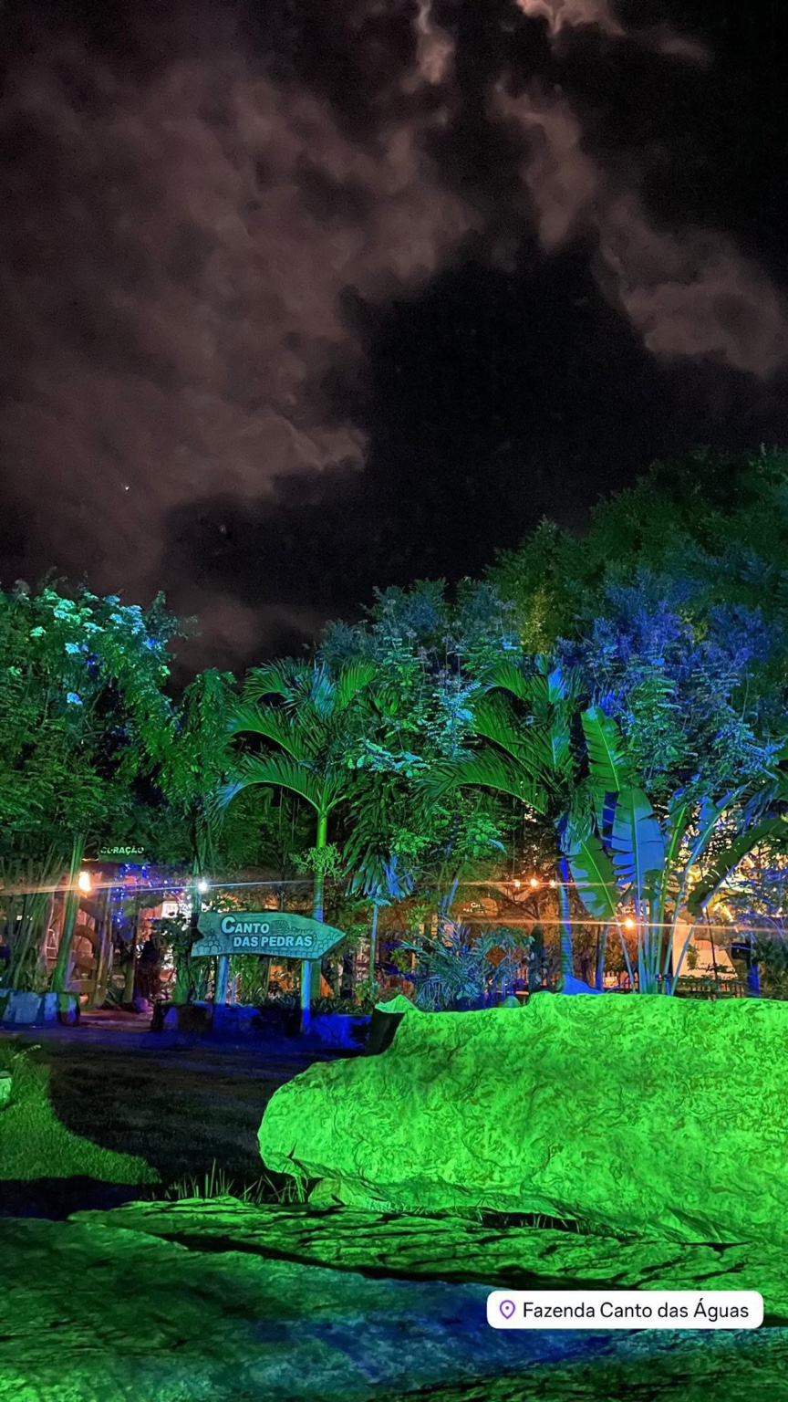 Iluminação noturna entre árvores e pedras