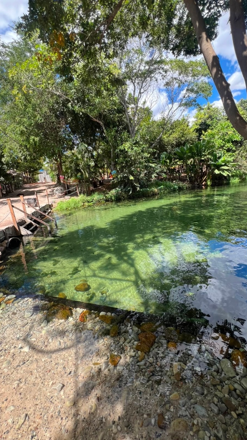 Água cercada por árvores na Fazenda Canto das Águas