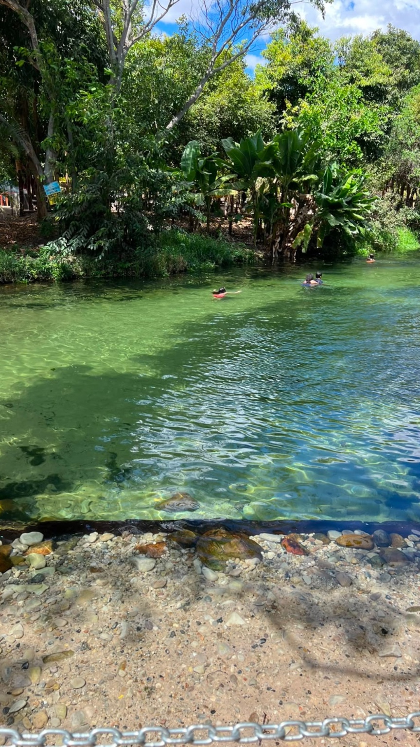 Visitantes nadando em águas verdes